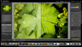 Adobe Lightroom: Workshop kreativních úprav - individuální