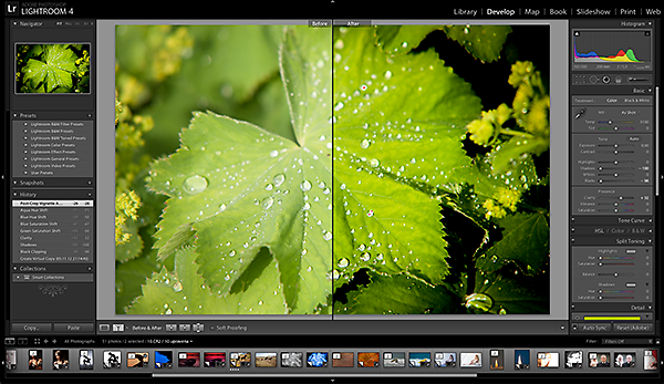 Adobe Lightroom: Workshop kreativních úprav - individuální